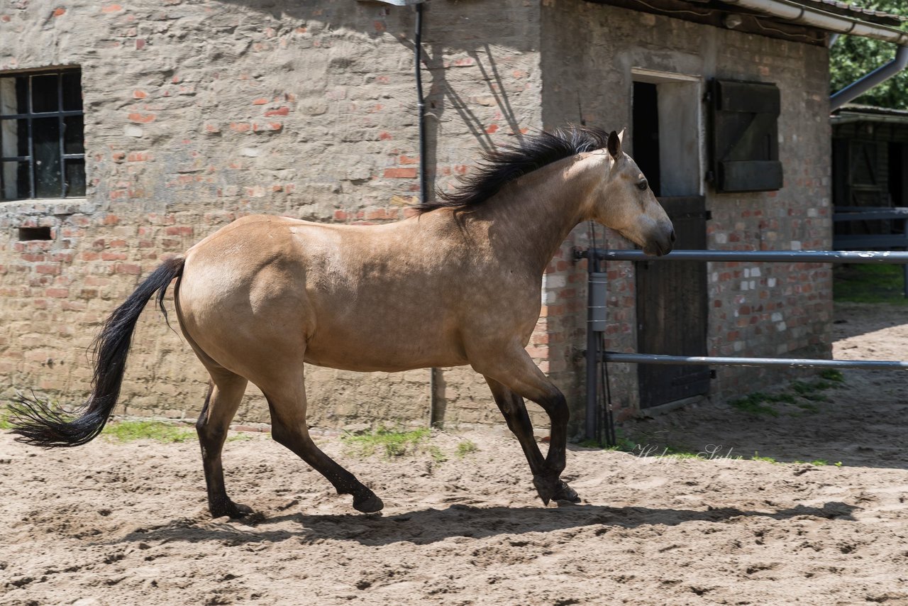 Bild 172 - Vivi
